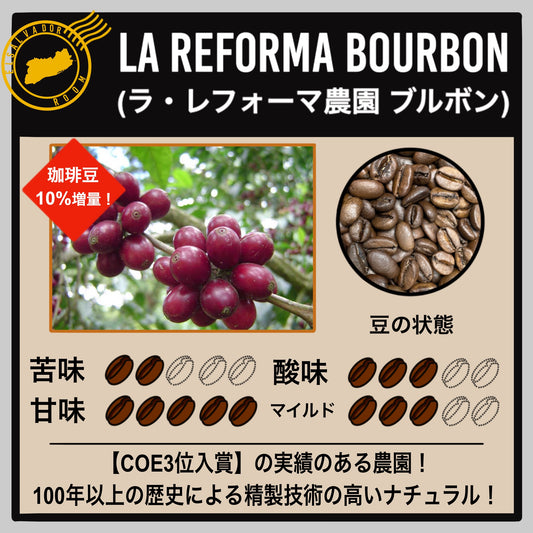 【エルサルバドル】ラ・レフォーマ農園 ブルボン