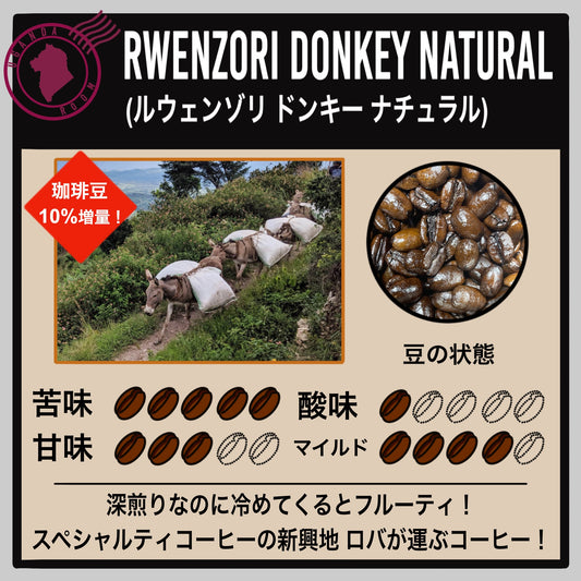 【ウガンダ】ルウェンゾリ ドンキー ナチュラル