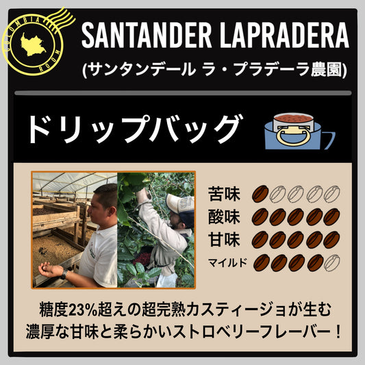 【コロンビア】サンタンデール ラ・プラデーラ農園(ドリップバッグ)
