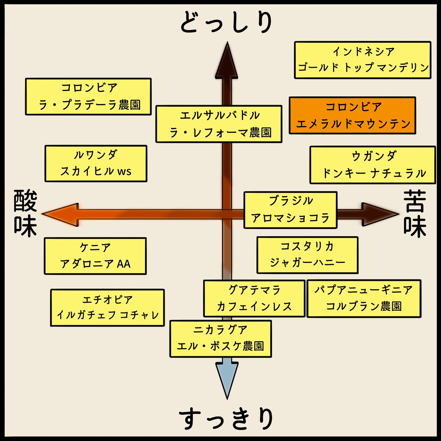 【コロンビア】エメラルドマウンテン