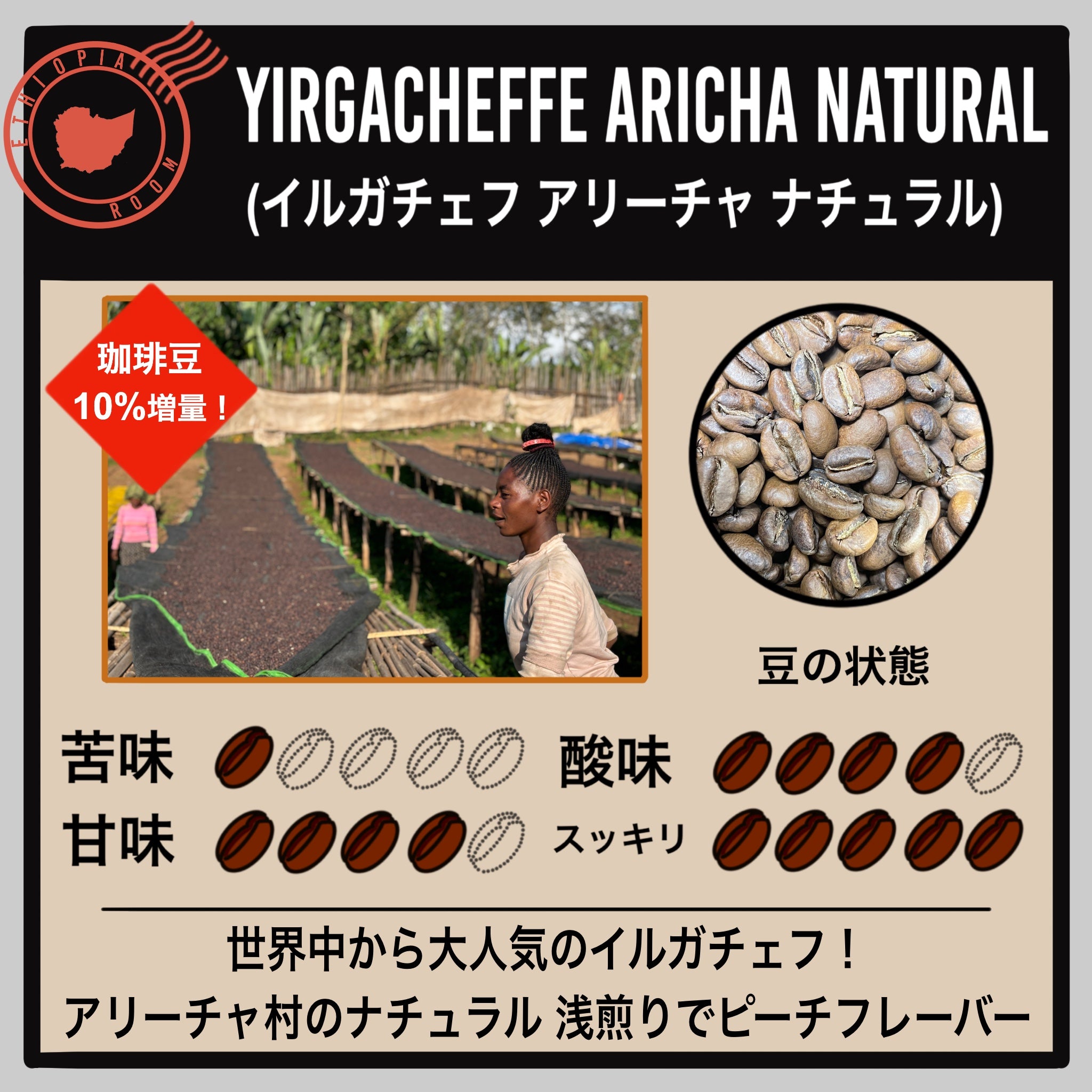 エチオピア】イルガチェフ アリーチャ ナチュラル(数量限定) - Room