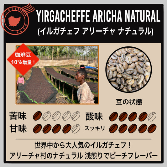 【エチオピア】イルガチェフ アリーチャ ナチュラル(数量限定)