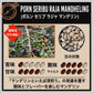 【インドネシア】ポルン セリブ ラジャ マンデリン(数量限定)