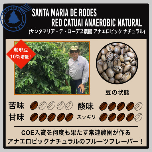 【ニカラグア】サンタマリア・デ・ローデス農園 アナエロビックナチュラル(数量限定)